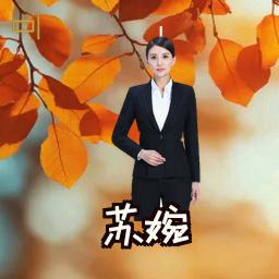 苏婉